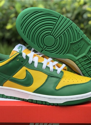 Nike dunk SB
