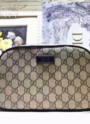 Gucci bag