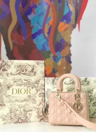 DIOR BAG