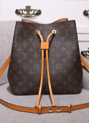 Louis Vuitton NÉONOÉ BAG