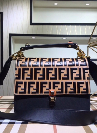 FENDI bag