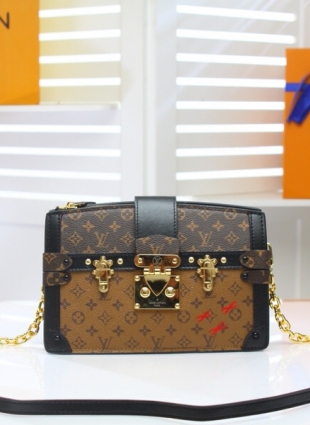 Louis Vuitton TRUNK CLUTCH