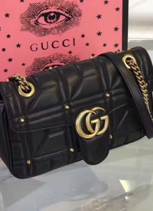 Gucci bag