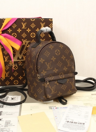 Louis Vuitton backpack