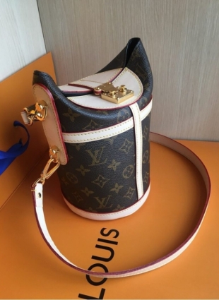 Louis Vuitton DUFFLE bag