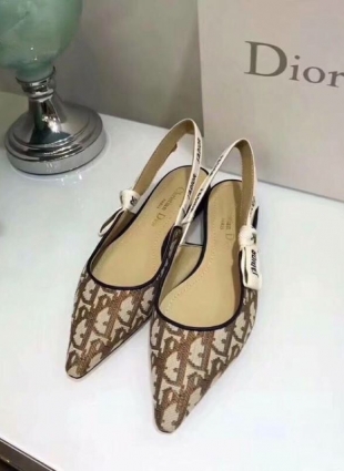 Christian Dior shoes brown