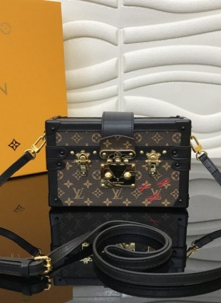 Louis Vuitton bag