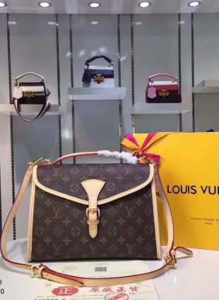 Louis Vuitton bag