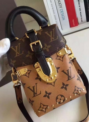 Louis Vuitton bag
