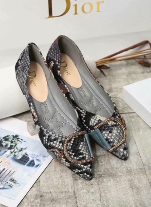 Christian Dior shoes gray