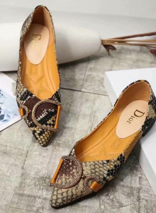 Christian Dior shoes brown