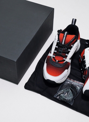 Christian Dior B22 Trainer Sneaker