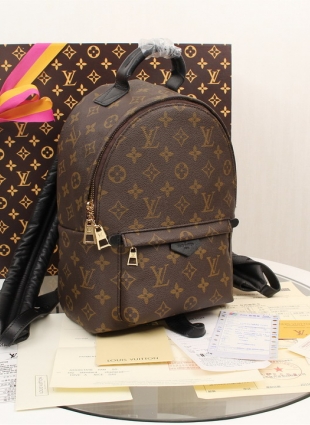 Louis Vuitton backpack pm