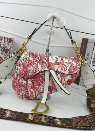 DIOR bag