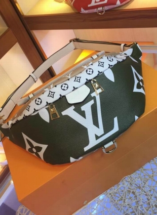 Louis Vuitton bag
