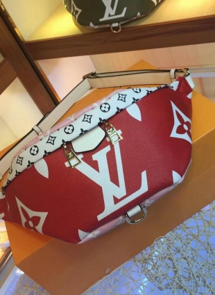 Louis Vuitton bag