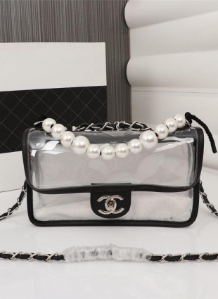 CHANEL bag silver hardware