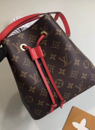 Louis Vuitton bag
