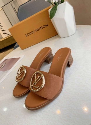 Louis Vuitton sandals brown