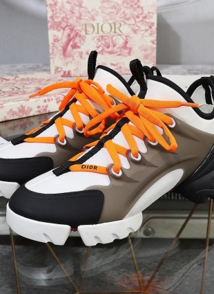 Christian Dior sneakers multicolored