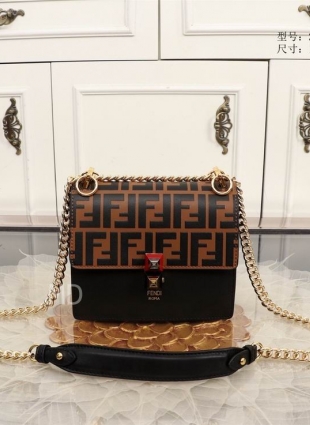 FENDI bag