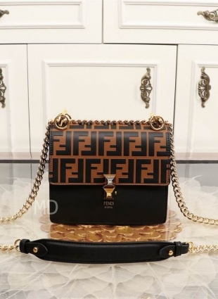 FENDI bag