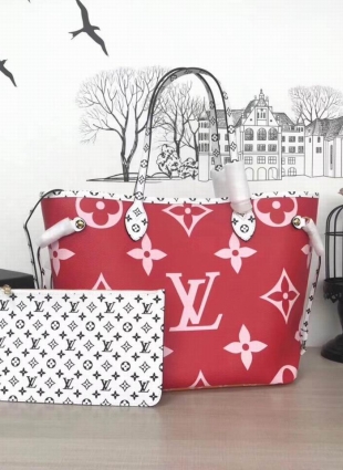 Louis Vuitton Neverfull MM Bag