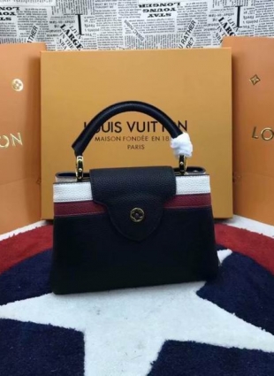 Louis Vuitton bag CAPUCINES BB