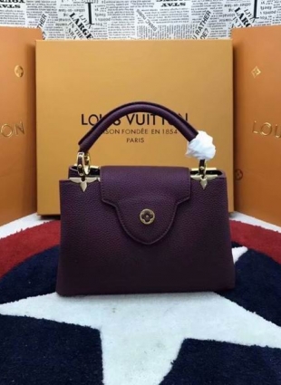 Louis Vuitton bag CAPUCINES BB