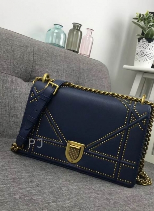 DIOR bag
