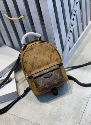 Louis Vuitton backpack