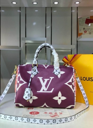 Louis Vuitton bag