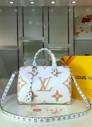 Louis Vuitton bag