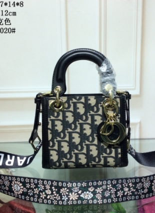 DIOR bag