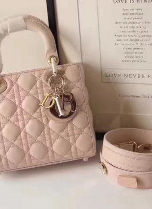 DIOR bag
