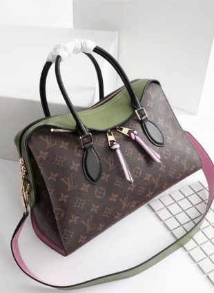 Louis Vuitton bag