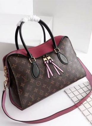 Louis Vuitton bag