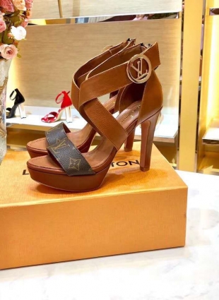 Louis Vuitton shoes brown