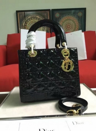 DIOR bag
