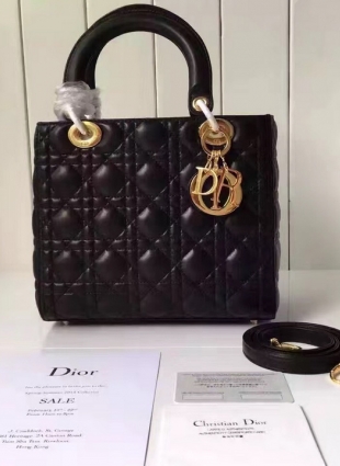 DIOR bag size 25x20x11 cm