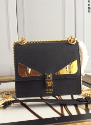 FENDI bag