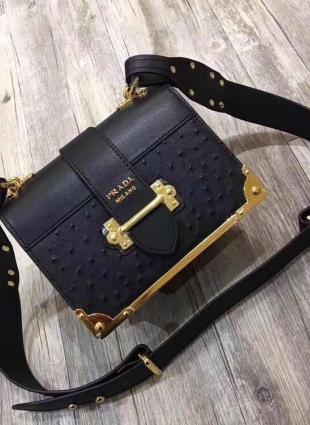 Prada bag