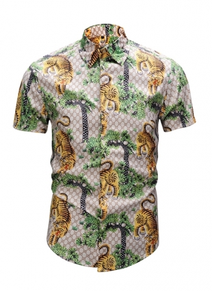 Gucci Men's Shirts