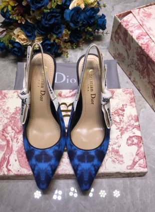 Christian Dior shoes blue