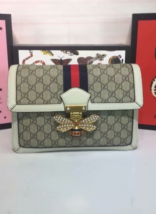 Gucci bag