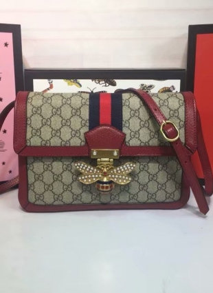 Gucci bag