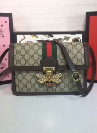 Gucci bag