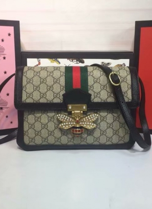 Gucci bag