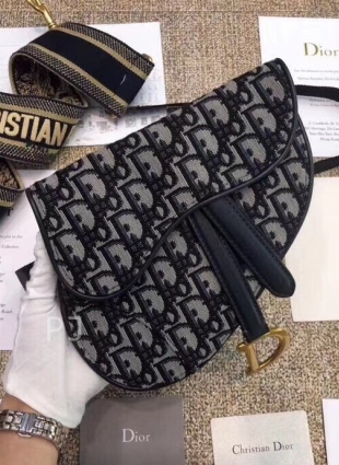 DIOR bag