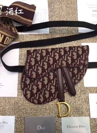DIOR bag